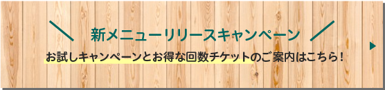 パワーレメディ,日本初,群馬フィーノエステサロン