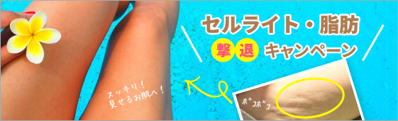 セルライト・脂肪撃退キャンペーン,群馬県エステサロンフィーノ(FINO)